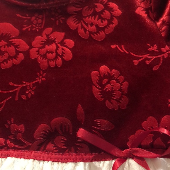 🥳Pastourelle velour and crinoline dress size 2T - Picture 2 of 8